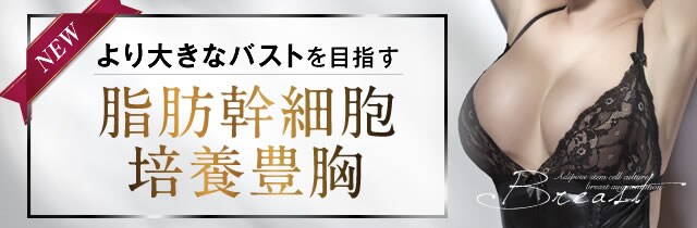 脂肪注入豊胸 豊胸 バストの修正なら湘南美容クリニック 公式