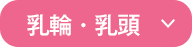 乳輪・乳頭