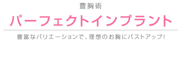 パーフェクトインプラント