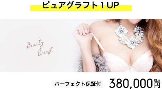 いま、オススメのメニューを紹介！ 週末豊胸 -ピュアグラフト- 価格画像