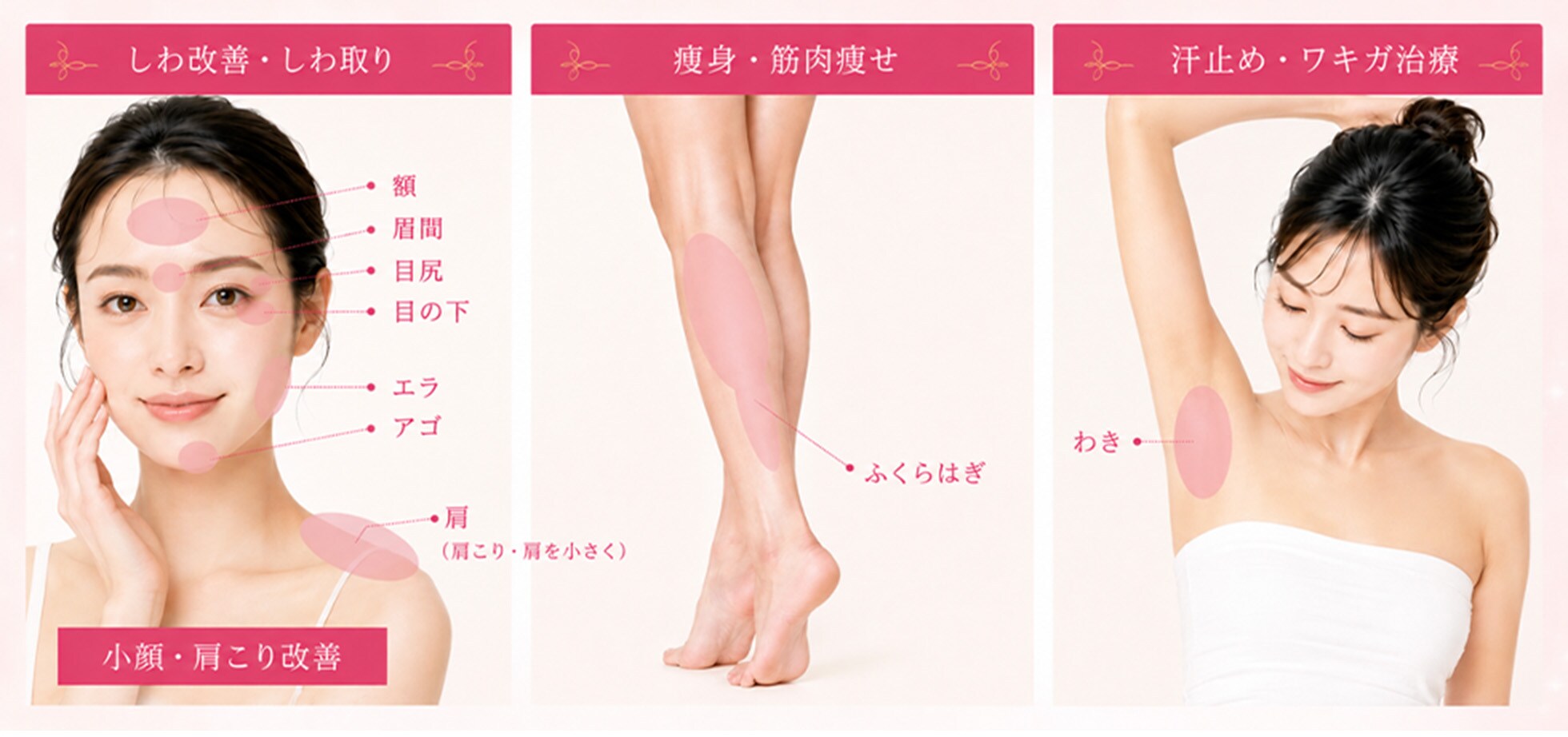 施術箇所一覧