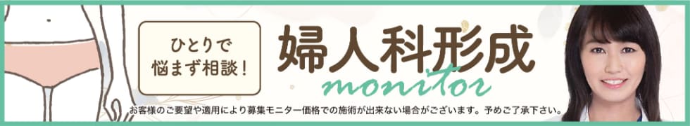 江川医師婦人科形成モニター