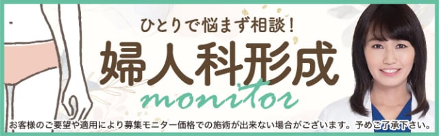 江川医師婦人科形成モニター