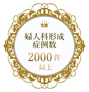実績