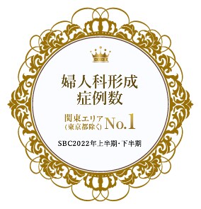実績