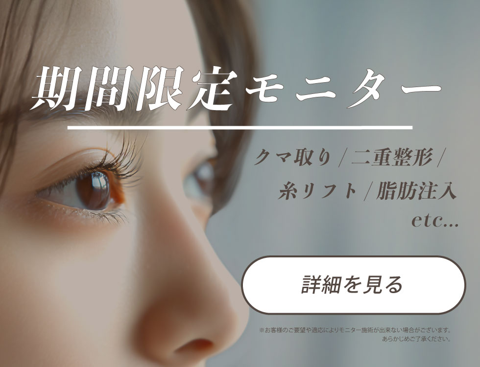 期間限定モニター