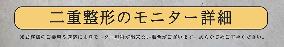 二重整形モニターの詳細