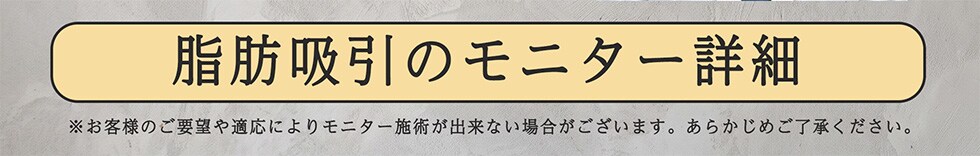 脂肪吸引モニターの詳細