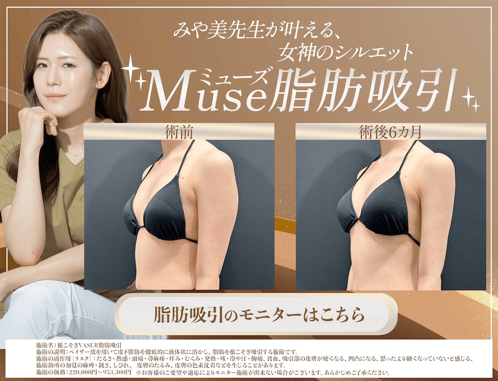 脂肪吸引モニター