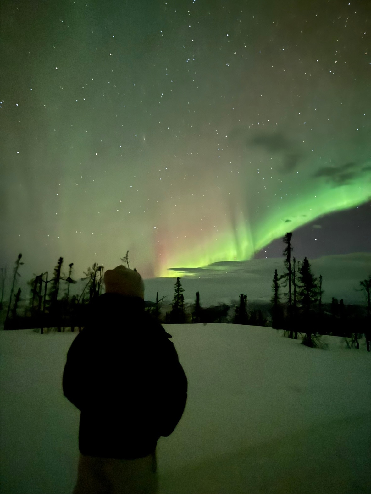 休日の過ごし方の写真2