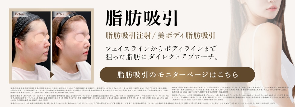 脂肪吸引モニター