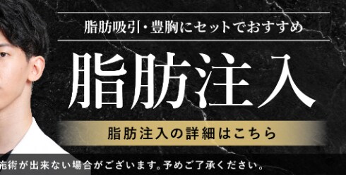 脂肪注入モニター