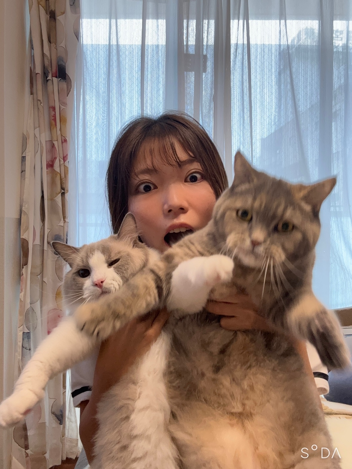 清水ドクター