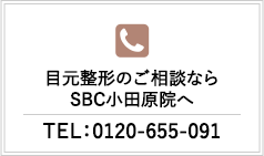 0120655091