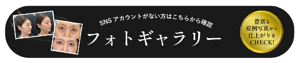 フォトギャラリー