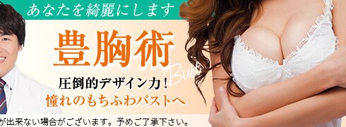山本医師の豊胸モニター