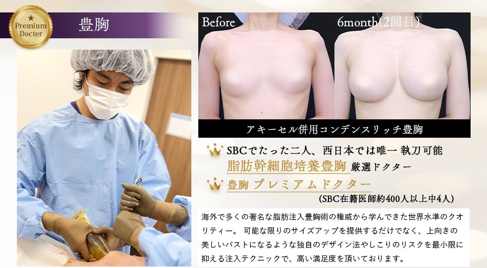 全身のアップデートが可能