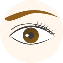 眼瞼下垂の重症度分類｛正常な状態｝