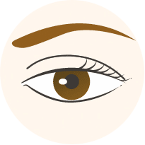 眼瞼下垂の重症度分類｛軽度下垂｝