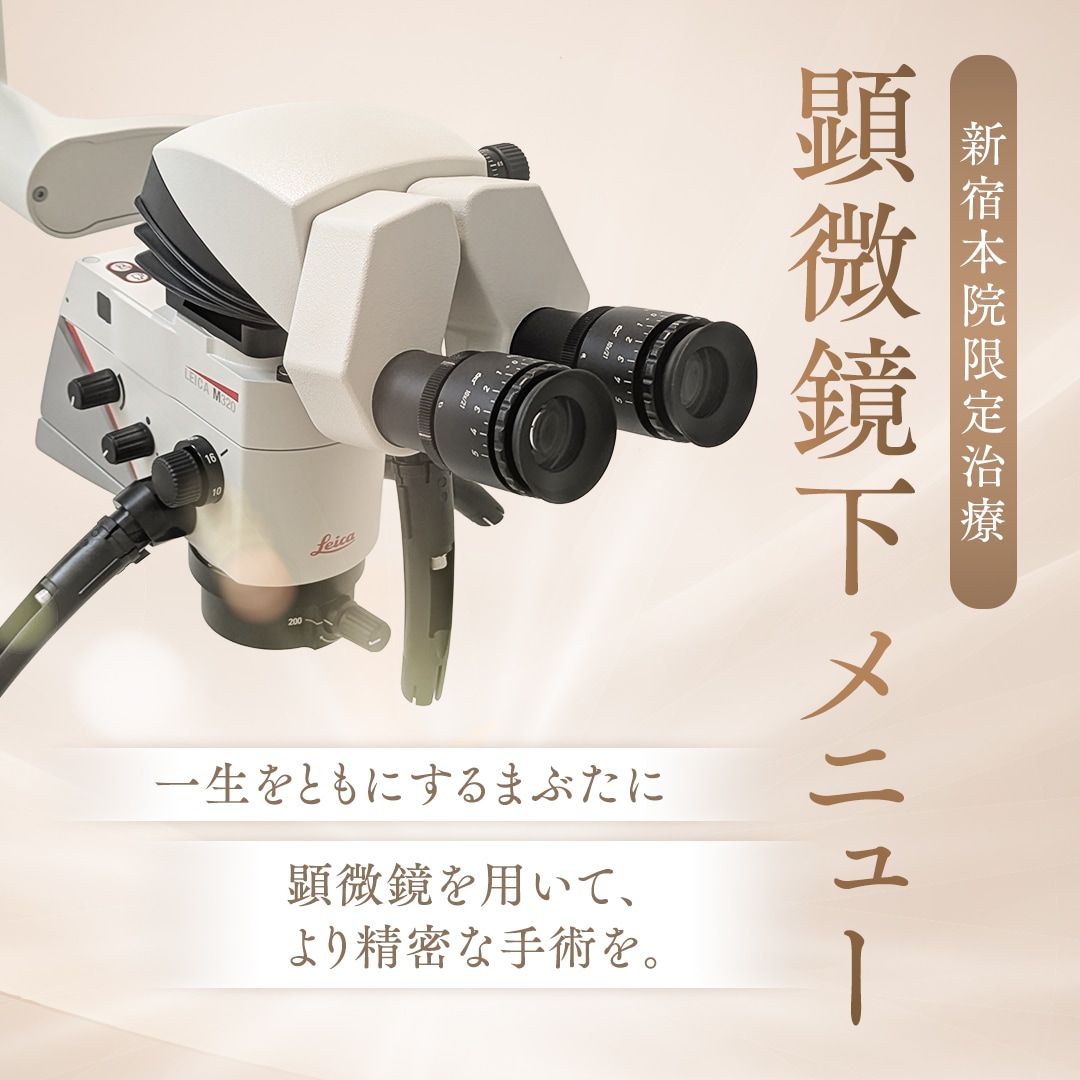 顕微鏡下メニュー