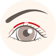 理想の二重から探す施術プランと予算 二重 目元整形なら湘南美容クリニック 公式