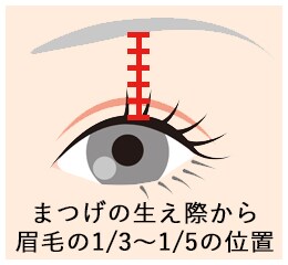 二重幅の目安を参考にする