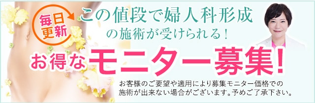 婦人科形成なら湘南美容クリニック【公式】|美容整形・美容外科 婦人科形成なら湘南美容クリニック【公式】|美容整形・美容外科