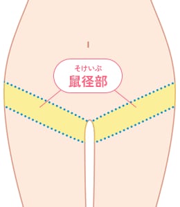 鼠径部