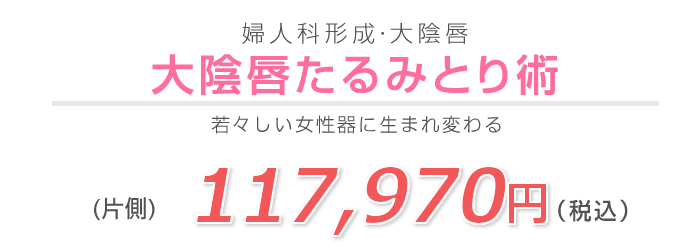 大陰唇たるみとり術 婦人科形成なら湘南美容クリニック 公式