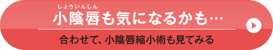小陰唇も気になるかも…合わせて、小陰唇縮小術も見てみる