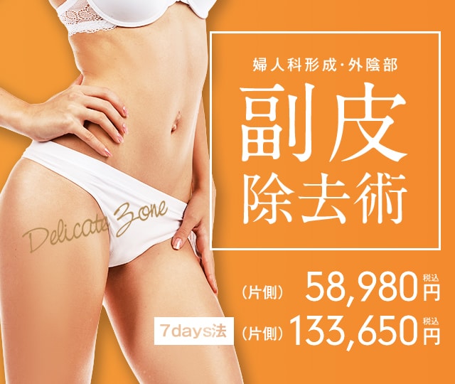 婦人科形成・外陰部 小陰唇 縮小術 （片側）69,250円 税込 7days法 （片側）162,000円 税込