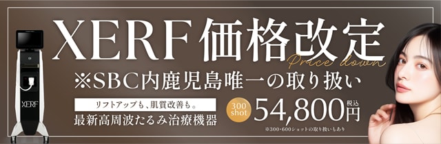 XERF（ザーフ）