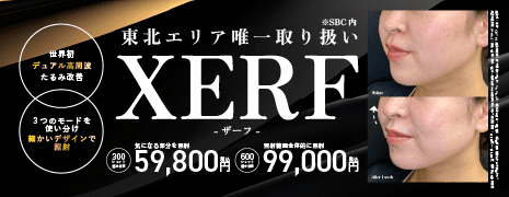XERF（ザーフ）