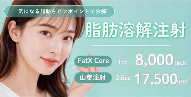脂肪溶解注射