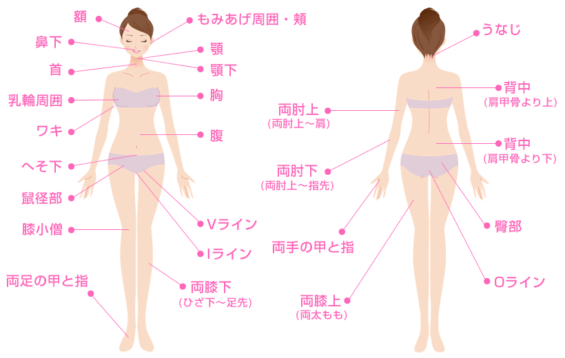 医療脱毛 医療レーザー脱毛の費用 料金 美容整形 美容外科なら湘南美容クリニック 公式