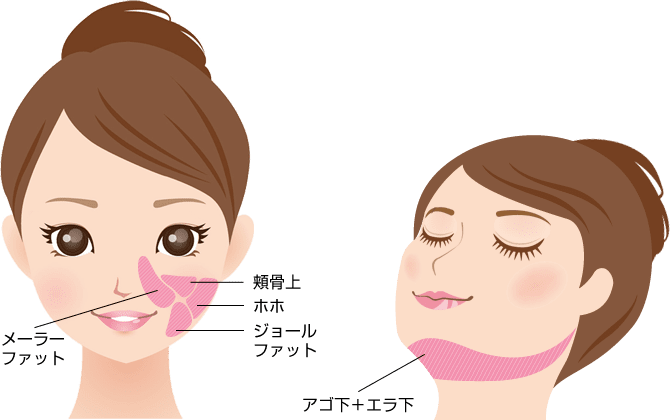 部位の解説