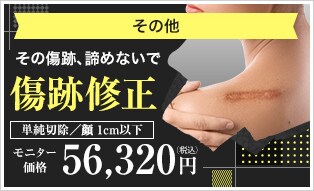 傷跡修正）