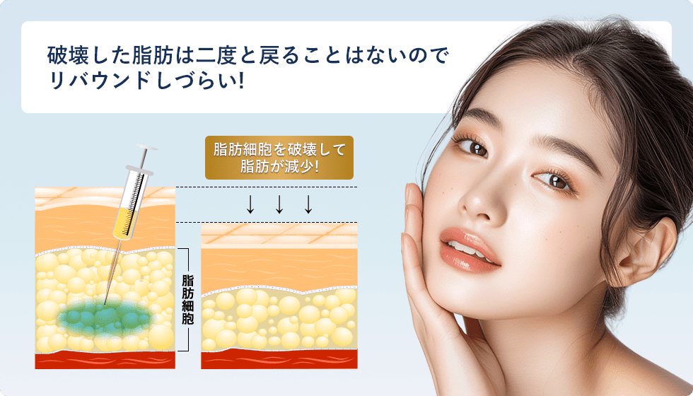 破壊した脂肪は二度と戻ることはないのでリバウンドしづらい!