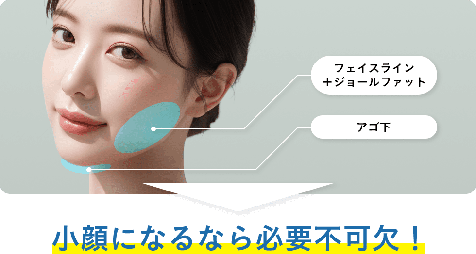 どれだけ入れても金額変更なし!
