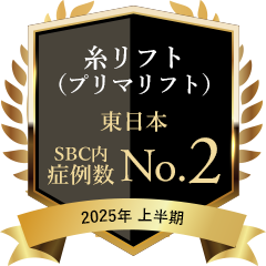 豊川医師実績3