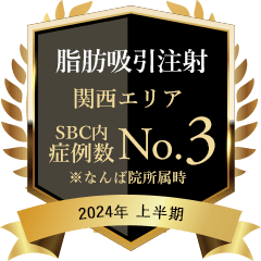 豊川医師実績1