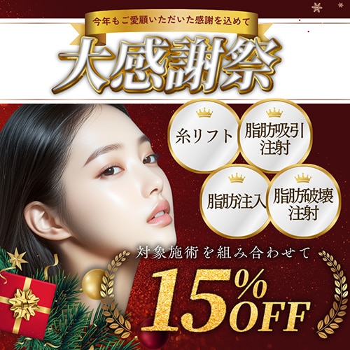 年末大感謝祭15%OFF