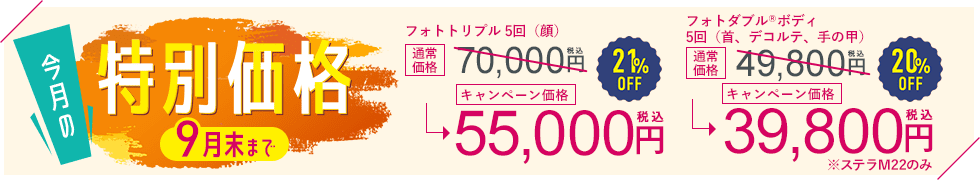 今月の特別価格