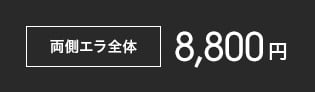 両側エラ全体9,720円