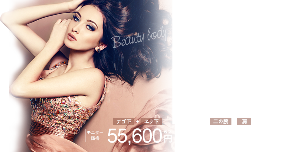 脂肪吸引・痩身 美ボディ脂肪吸引 アゴ下＋エラ下 92,740円 税込 二の腕 123,520円 税込