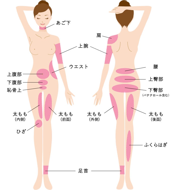 PARTS 対象部位 体