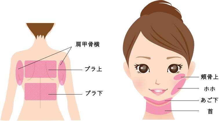 PARTS 対象部位 顔 背中