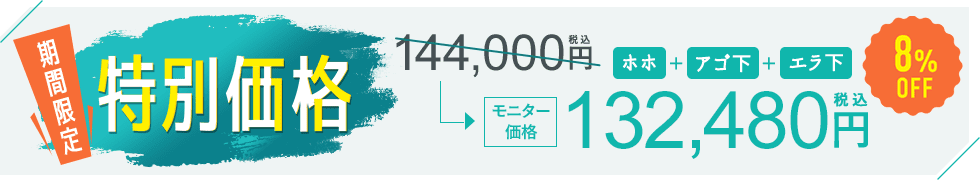 期間限定特別価格