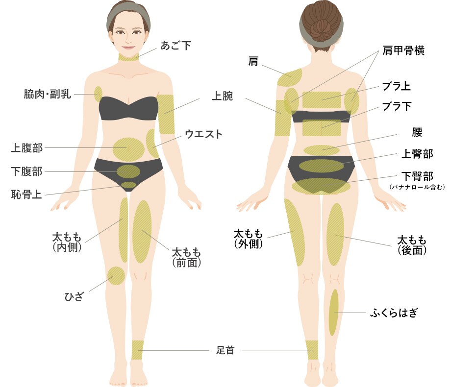 対象部位 画像2