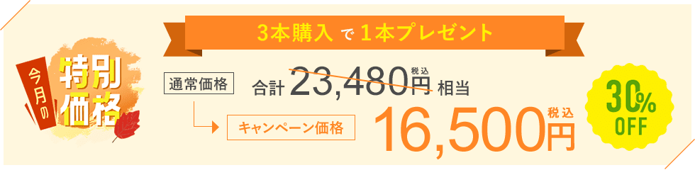 今月のキャンペーン